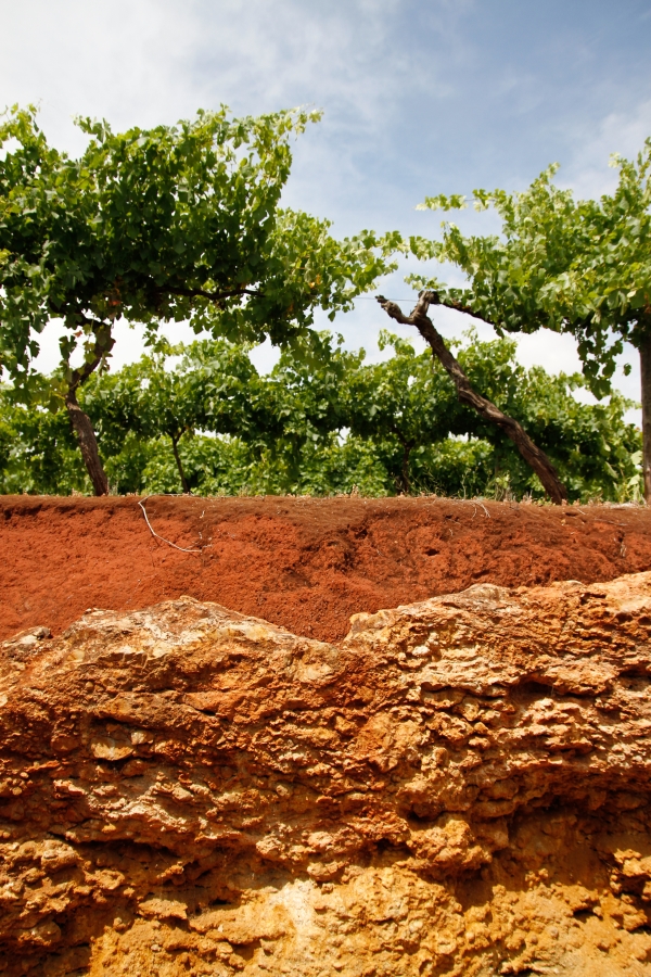 Coonawarra, South Australia, Australia